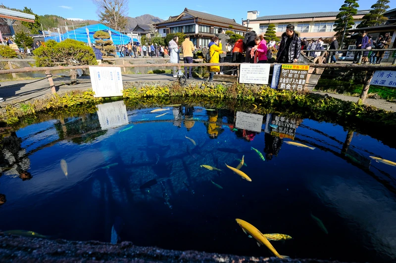 【河口湖】忍野八海：必去富士山湧泉群！日本名水百選交通美食彙