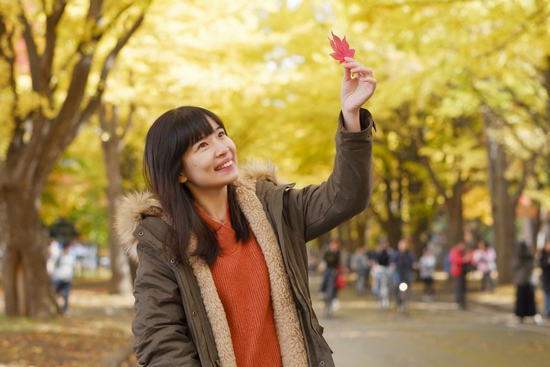 【札幌】北海道大學：銀杏大道美翻天！景點食堂、停車交通地圖全
