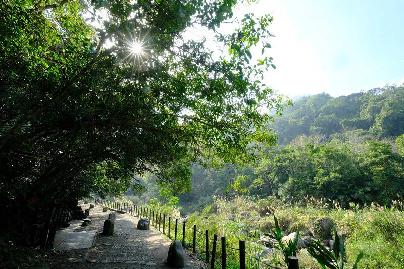 【苗栗南庄】蓬萊溪護魚步道：溪水清澈魚超多，免門票好停車平穩