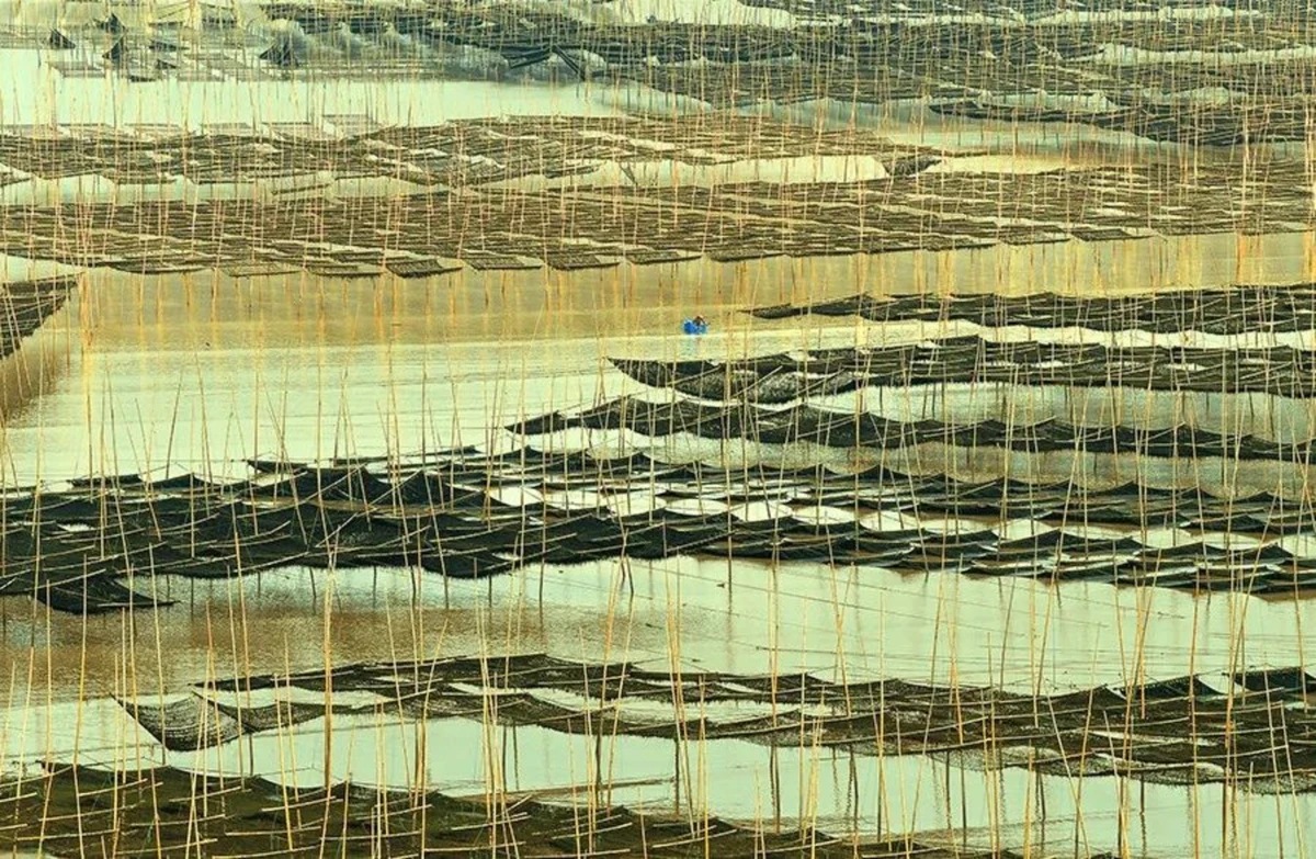 奔赴山海 无尽蓝绿丨1572 拷贝.jpg