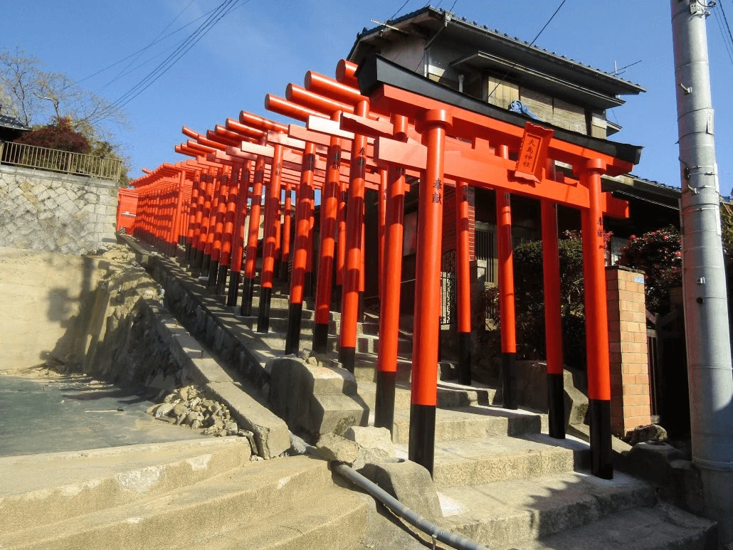「大島神社」的參道上的67座朱紅色鳥居隨著坡道綿延而上，是在地人才知道的打卡景點。