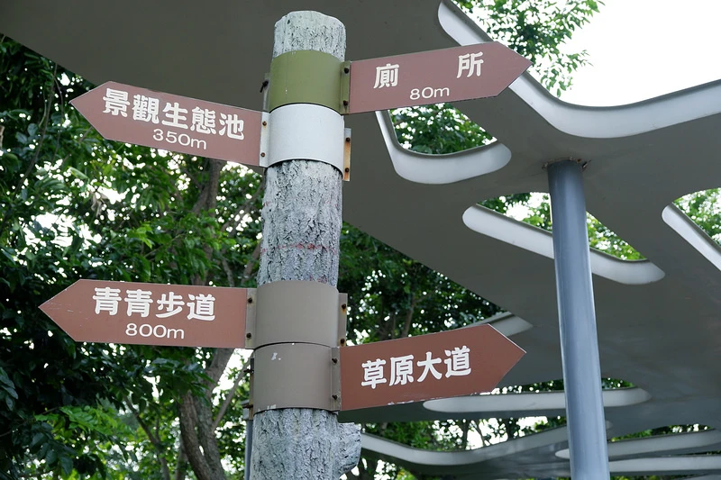 【新竹】青青草原：54公尺長溜滑梯、五大草原、健行步道，免門