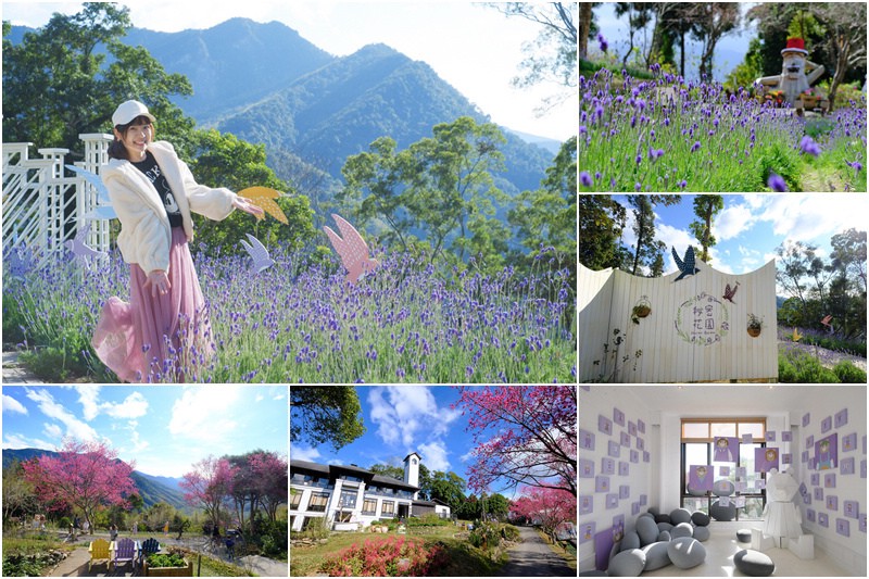 新竹薰衣草森林.jpg 新竹薰衣草森林.jpg