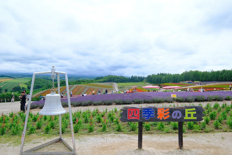 【北海道】四季彩之丘：彩虹般的花田絕色美景！美瑛必去景點超驚