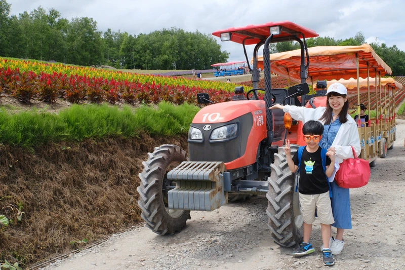 【北海道】四季彩之丘：彩虹般的花田絕色美景！美瑛必去景點超驚
