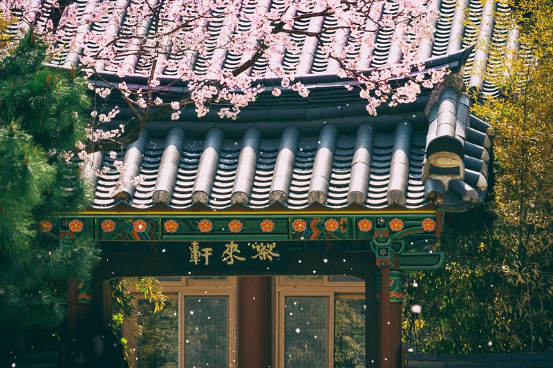 【韓國首爾】星空圖書館Coex Mall：巨無霸書架超吸睛＆