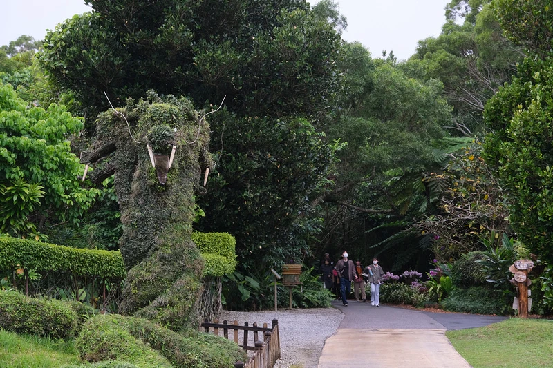 【沖繩】Bios之丘生態農場：遛山羊、湖中遊船、水牛車等親子
