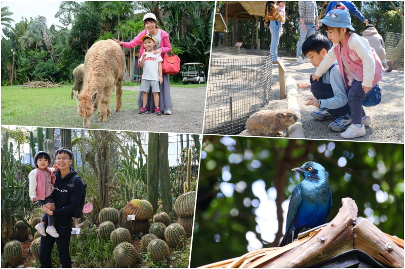 【新竹景點推薦】2025新竹一日遊這樣玩！最夯新竹旅遊好玩景點全攻略