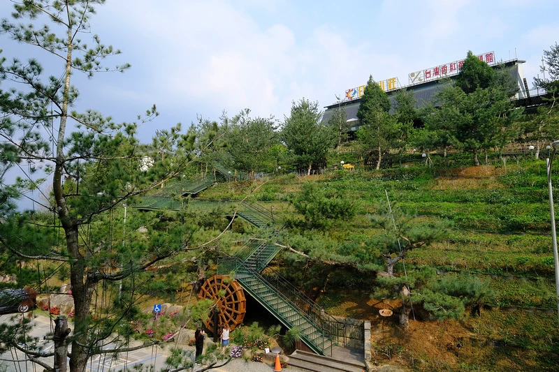 【南投】Hohocha喝喝茶丨台灣香日月潭紅茶廠：免費奉茶吃