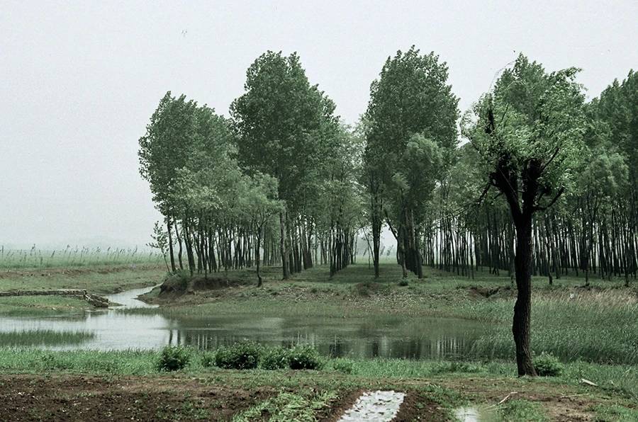 QQ20250326-160052 拷贝.jpg