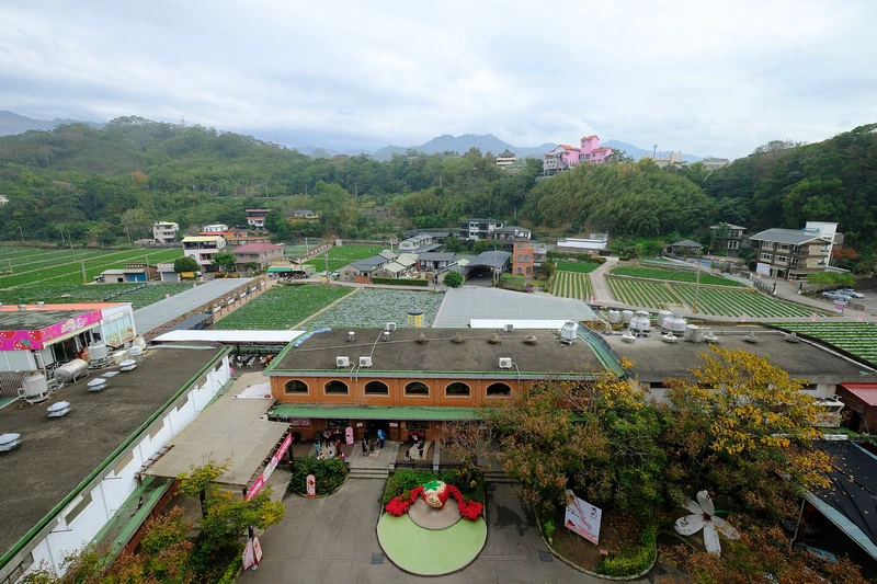 【苗栗】大湖酒莊＆草莓文化館：冰淇淋泡芙必買！免門票採草莓吃