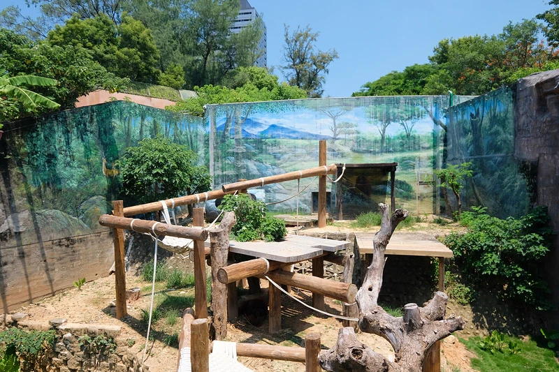 【新竹市立動物園】超美文青風動物園！門票交通美食＆附近景點一