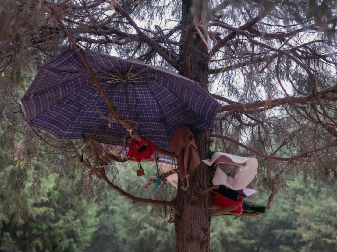 摘要4149 拷贝.jpg