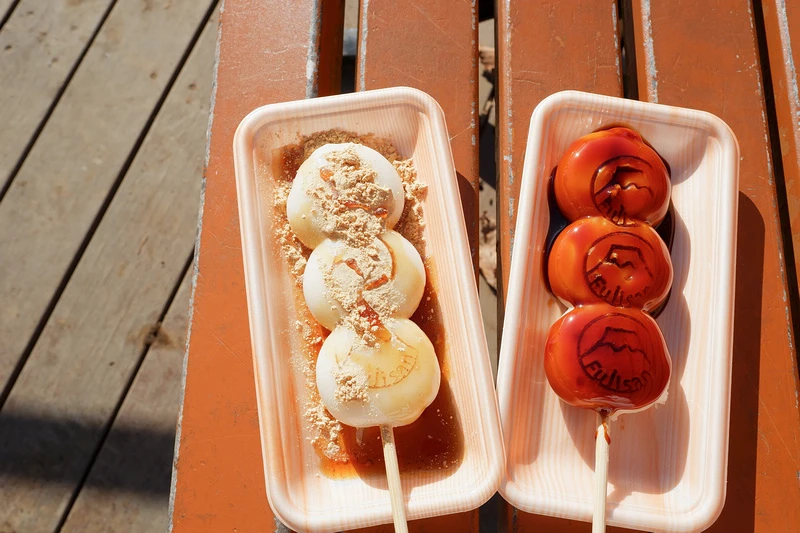 【天上山公園】必搭河口湖纜車！制高點眺望富士山全景＆超酷景觀