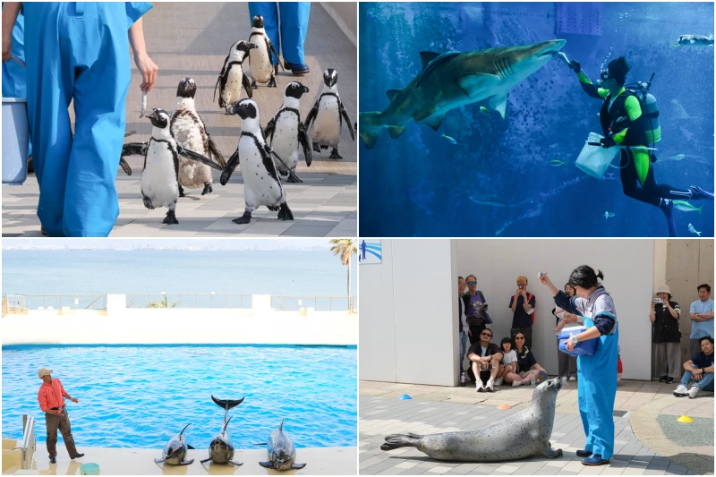 【2025福岡景點】14個超好玩福岡必去景點！福岡一日遊這樣規劃就對了