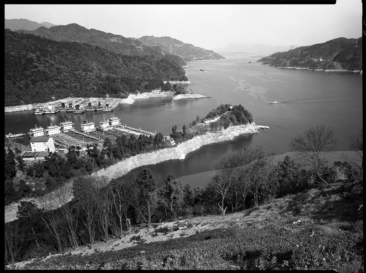 009三峡消落带----山与水的对话系列之一（太平溪） 2019年，8X10inch .jpg