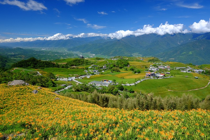 DSCF4463.jpg DSCF4463.jpg