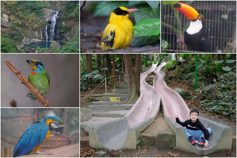 【南投景點推薦】2025南投一日遊這樣玩！最夯南投旅遊秘境景點全攻略