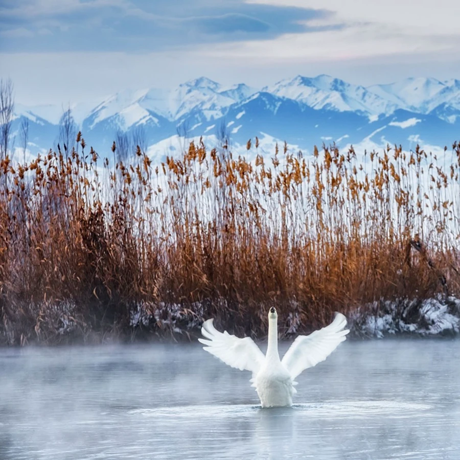 20231225_1703494944143431.jpg 1139 拷贝.jpg