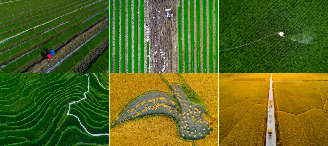 无人机影像大赛颁奖典礼通稿1514 拷贝.jpg