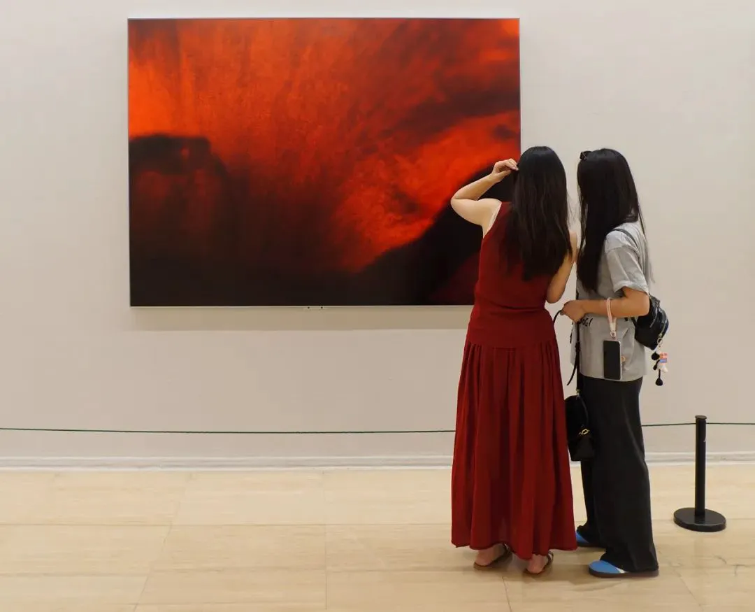 20240511_1715391803400848.jpg 8.jpg