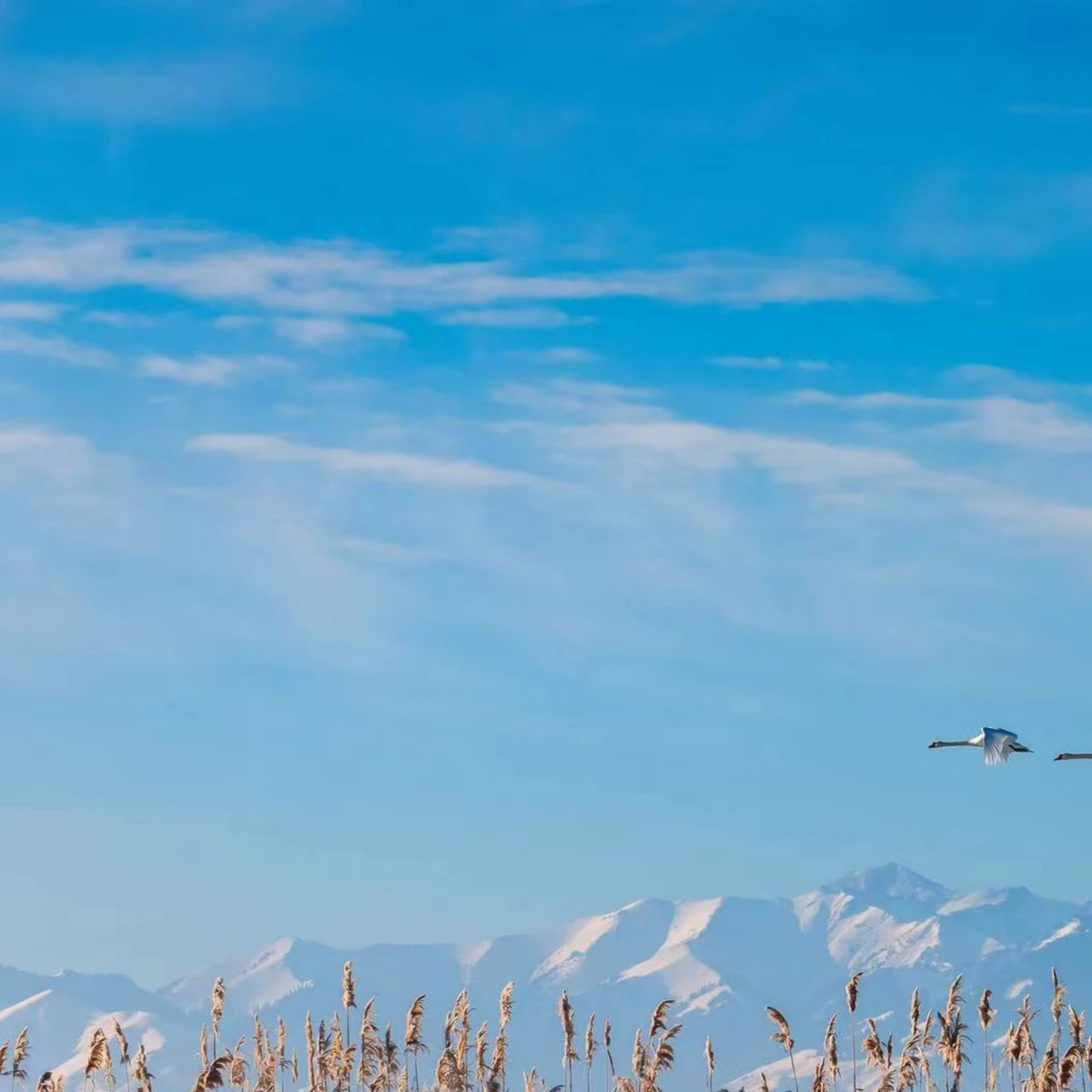 20231225_1703494971934541.jpg 11399 拷贝.jpg