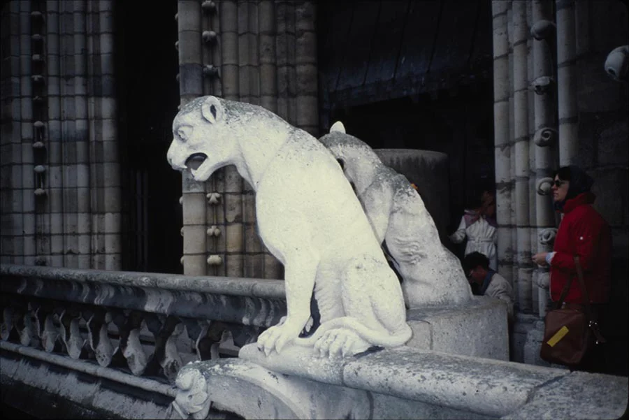 14.聖母院怪獸（巴黎）paris-1979.jpg
