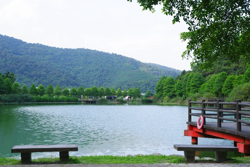 【宜蘭員山】望龍埤花田村：經典偶像劇場景！美食門票＆附近景點