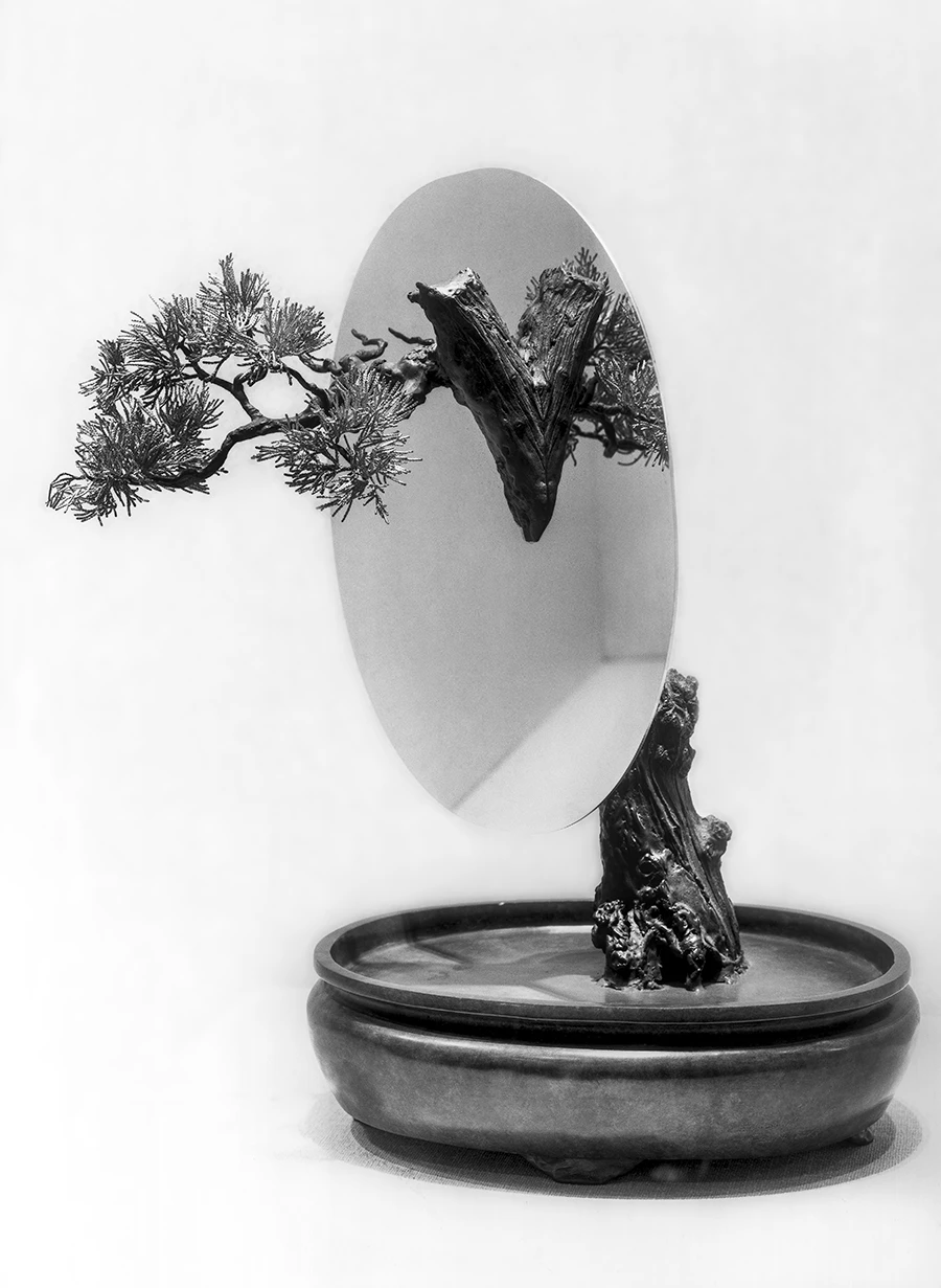 《盆景艺术装置》 北京 2023 年 3 月.JPG