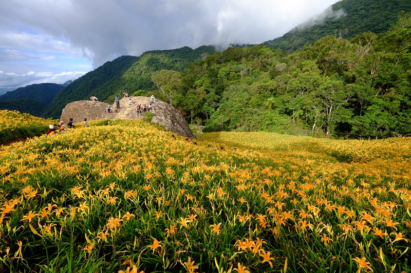 DSCF4148.jpg DSCF4148.jpg