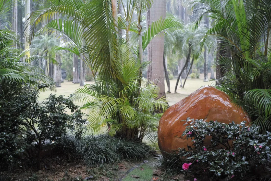 摘要4116 拷贝.jpg