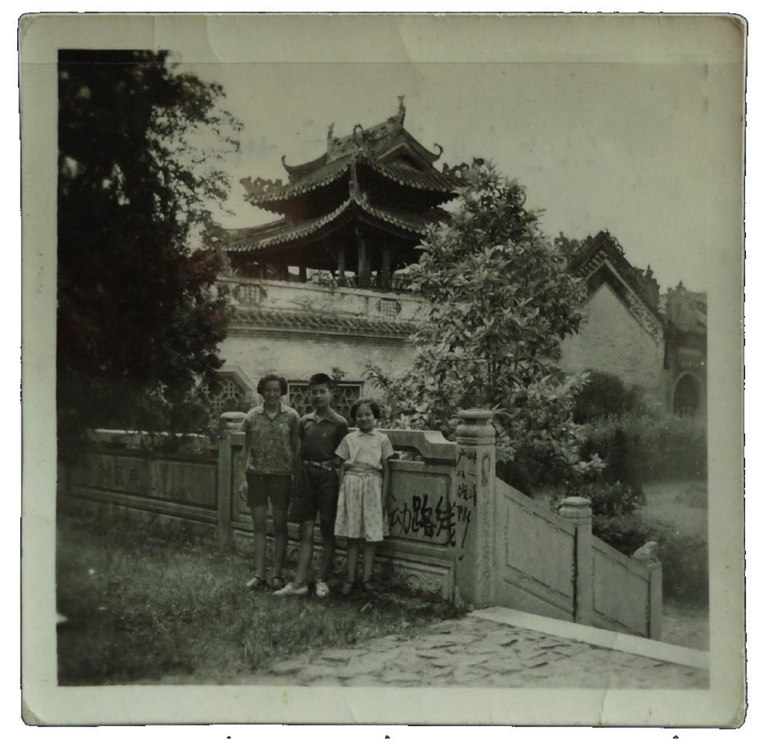 摘要2628 拷贝.jpg