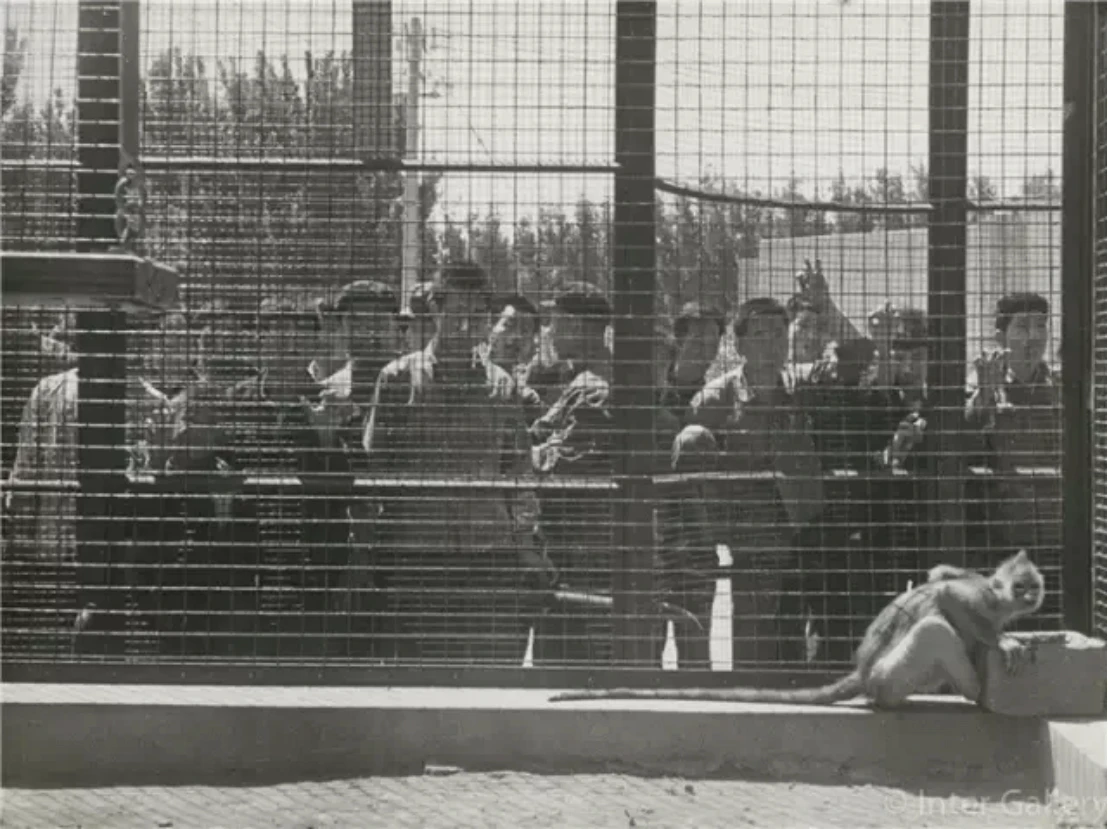 摘要2383 拷贝.jpg