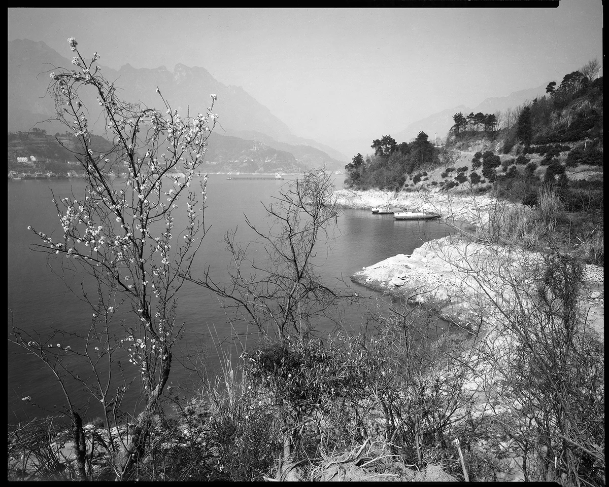 005三峡消落带（庙河） 2016年，8X10inch .jpg