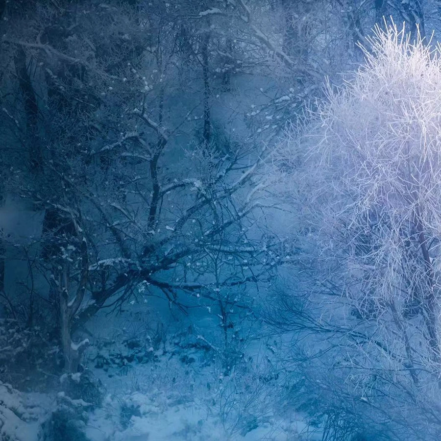 20231225_1703494999638609.jpg 11687 拷贝.jpg