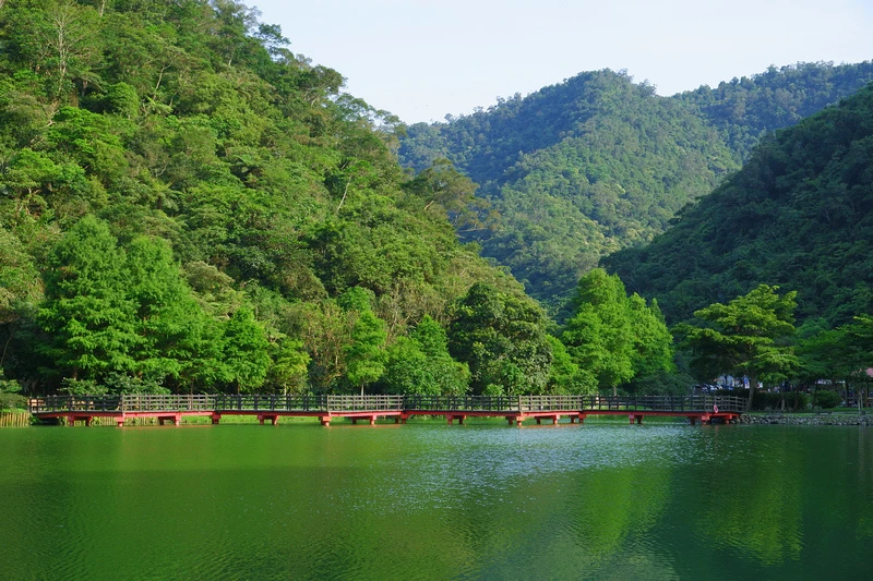 【宜蘭員山】望龍埤花田村：經典偶像劇場景！美食門票＆附近景點