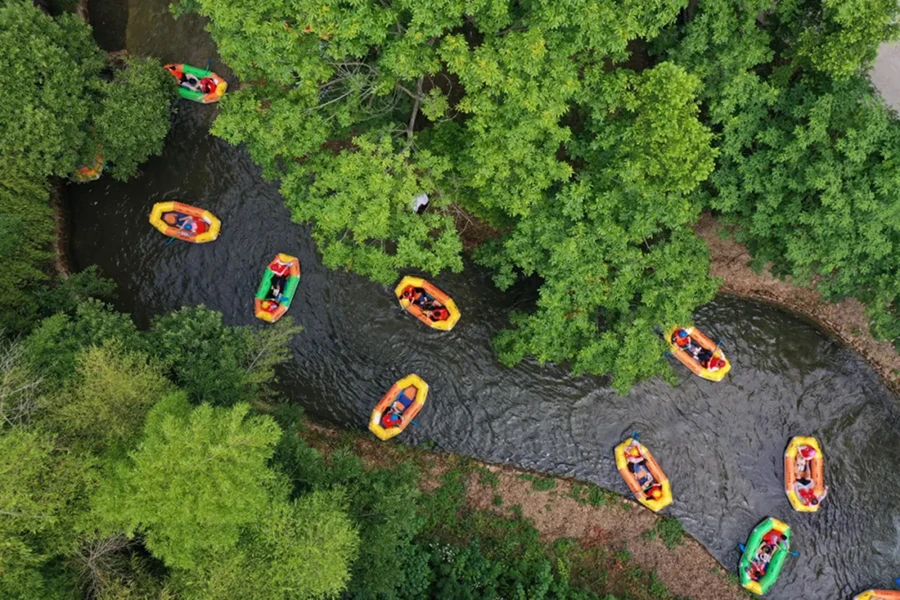 20240920_1726814588959568.jpg 金秋九月2679 拷贝.jpg