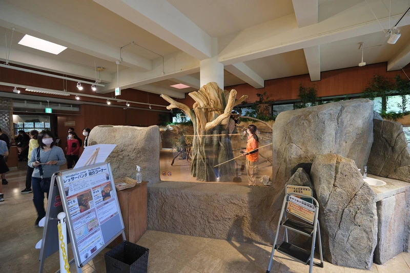 【沖繩】名護自然動植物公園：零距離接觸動物！鐵道火車和飛禽表