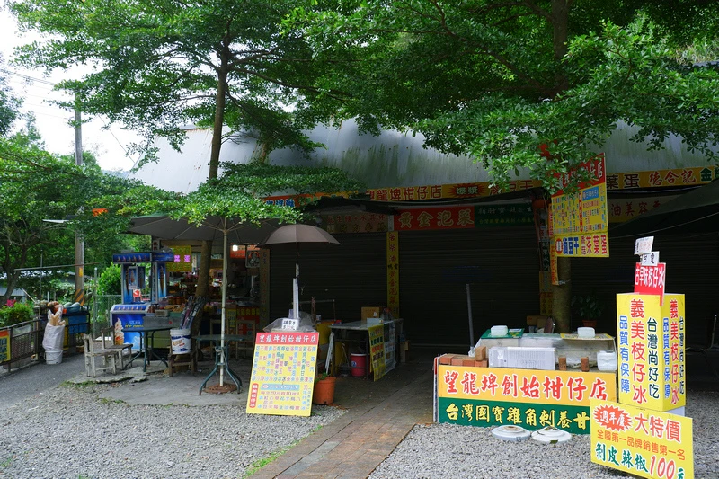【宜蘭員山】望龍埤花田村：經典偶像劇場景！美食門票＆附近景點