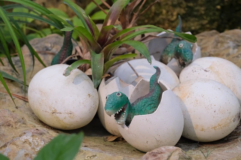 【沖繩】名護鳳梨園：逼真恐龍園區親子推薦＆搭超萌鳳梨電動車冒