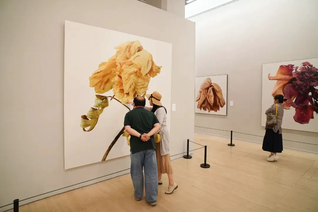 20240511_1715391798973933.jpg 7.jpg