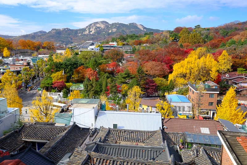 【2025北村韓屋村】北村八景地圖攻略！展望台、美食咖啡廳＆韓服交通彙整