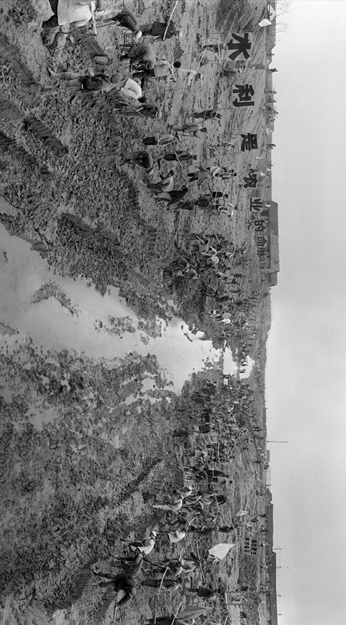 20240910_1725940017631413.jpg 作为新中国第一代女摄影师21 拷贝.jpg