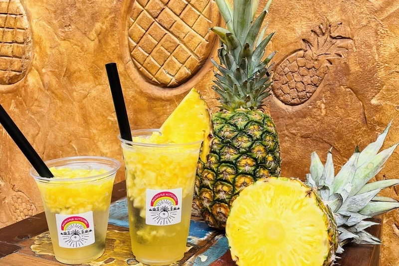 【沖繩】名護鳳梨園：逼真恐龍園區親子推薦＆搭超萌鳳梨電動車冒