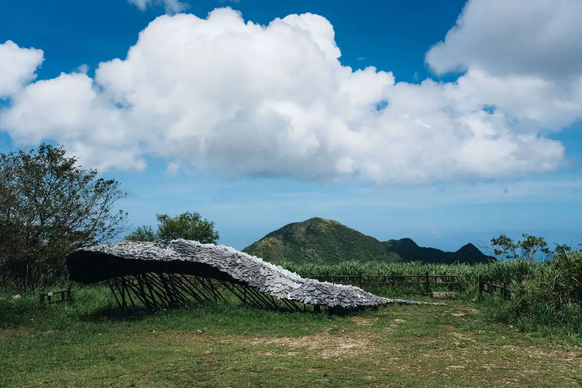 曾令理與偶然設計團隊的作品〈山伏獸〉和遠方的基隆 山景。