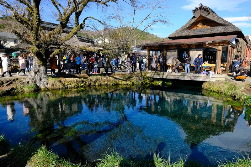 【河口湖】忍野八海：必去富士山湧泉群！日本名水百選交通美食彙