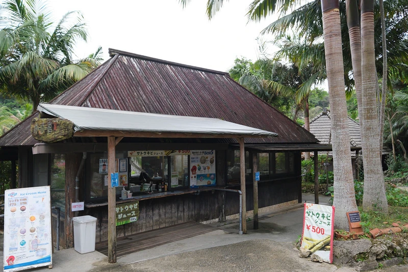 【沖繩】琉球村：重現古老沖繩！琉球王國主題公園人氣表演秀＆探
