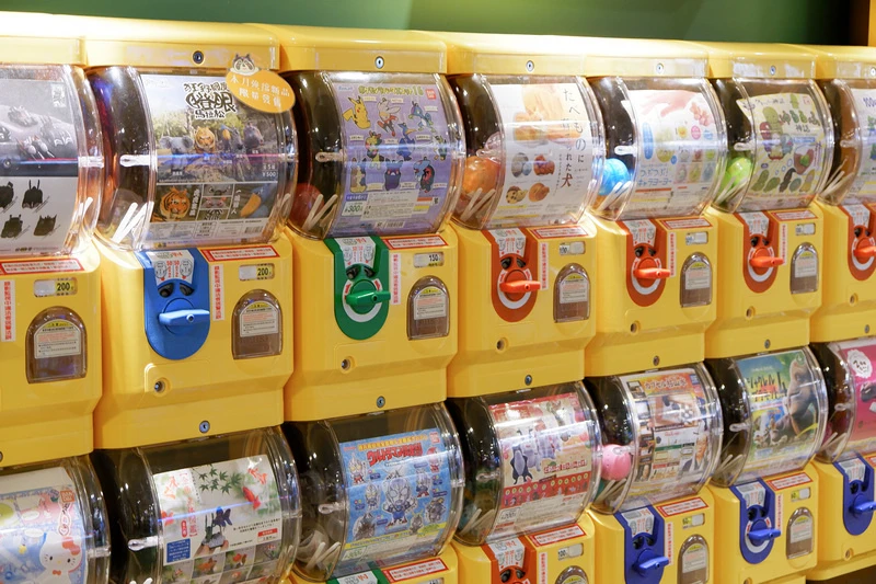 【新竹市立動物園】超美文青風動物園！門票交通美食＆附近景點一