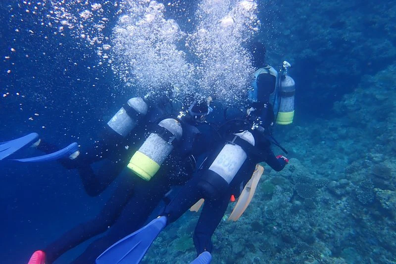 【沖繩浮潛潛水推薦】青之洞窟：海水清澈魚群超多，費用不貴兒童