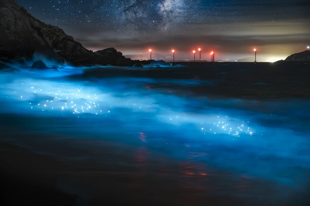 20240918_1726628342549627.jpg 社会组 章俊杰 清梦压星河.jpg